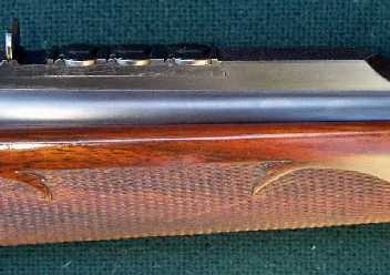 Express sights.jpg (12699 bytes)